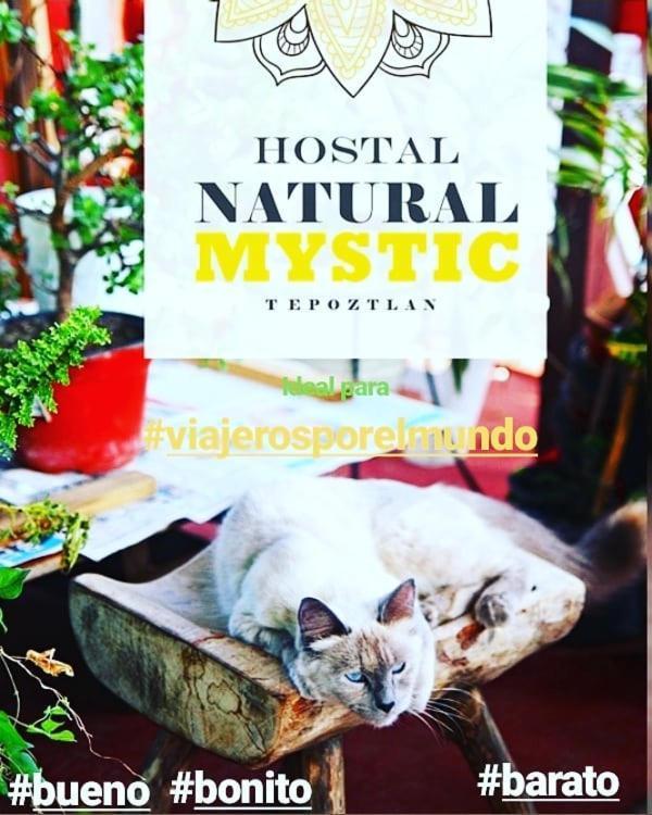 Natural Mystic Hostal Tepoztlán Exteriör bild